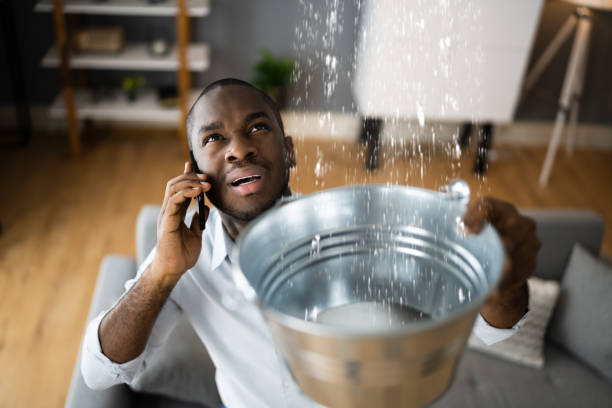 Water damage restoration experts in AL