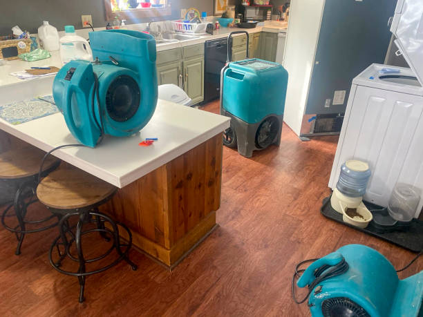 Best Flood damage cleanup  in Hazel Green, AL