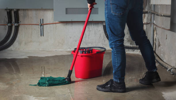 Best Carpet water damage restoration  in Hazel Green, AL