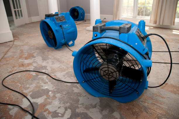 Best Flood restoration services  in Hazel Green, AL