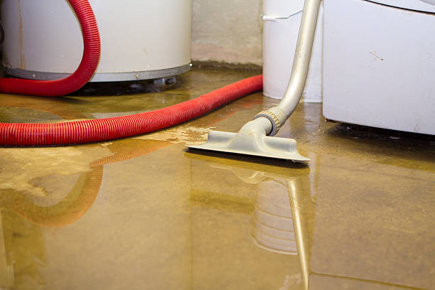Best Basement water damage restoration  in Hazel Green, AL
