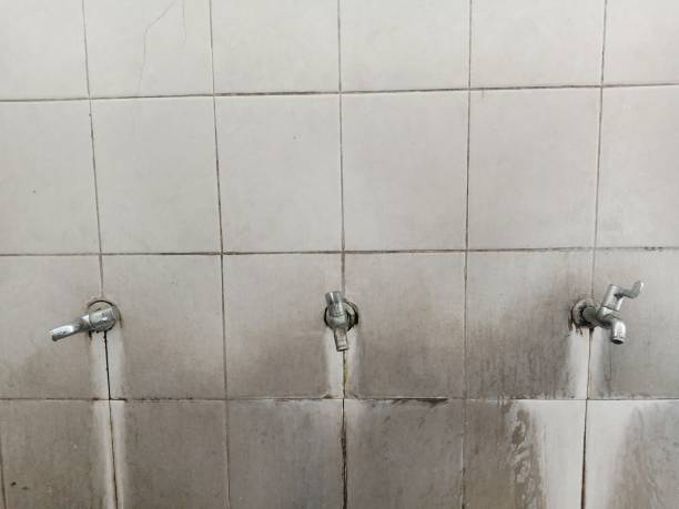 Best Water damage contractors near me  in Hazel Green, AL