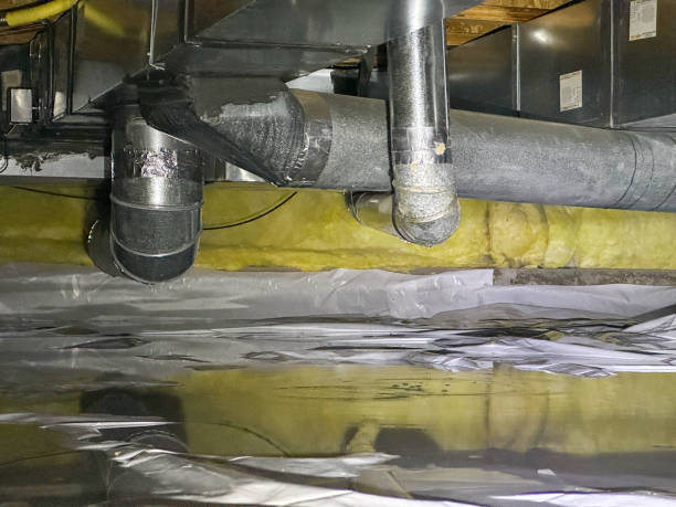 Best Flood damage cleanup  in Hazel Green, AL