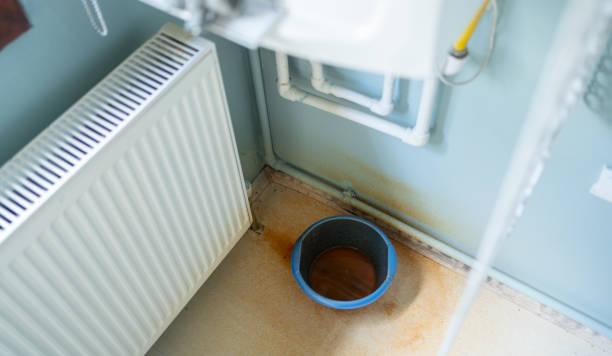 Best Carpet water damage restoration  in Hazel Green, AL