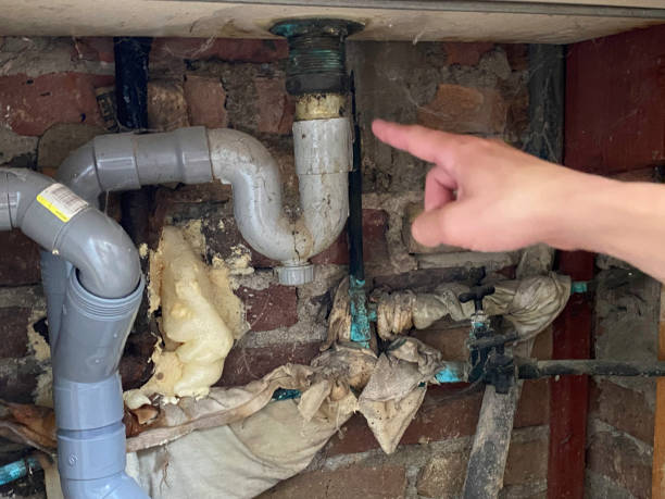 Best Water damage restoration company  in Hazel Green, AL