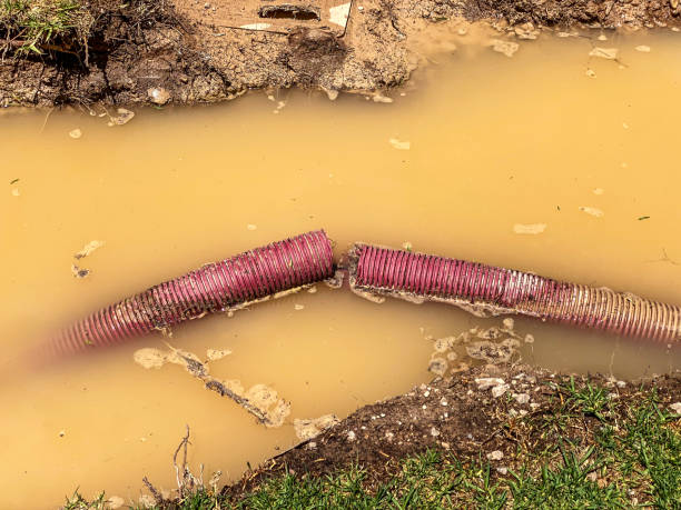 Best Local water damage restoration  in Hazel Green, AL