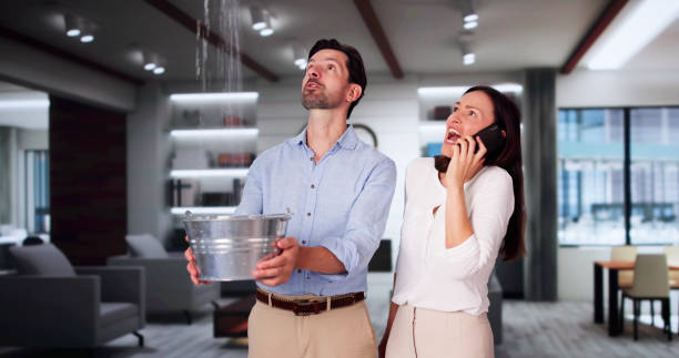 Best Water damage restoration experts  in Hazel Green, AL