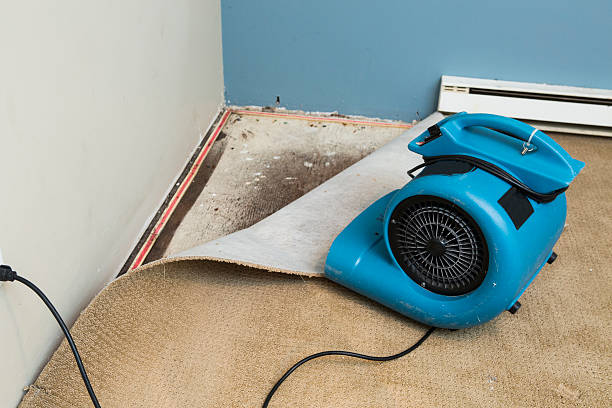 Best Commercial water damage restoration  in Hazel Green, AL